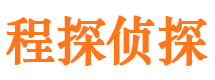 迎江侦探公司